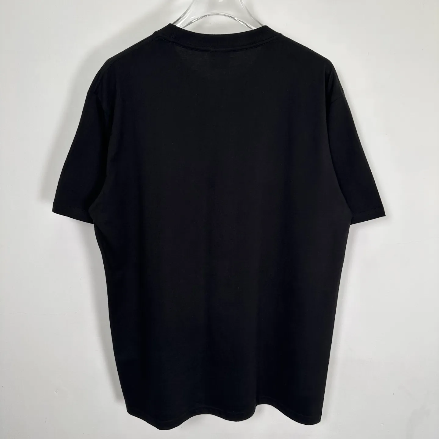 Champion flag T-shirt STUSSY FW24 CHAMPION TEE black and white S-XL