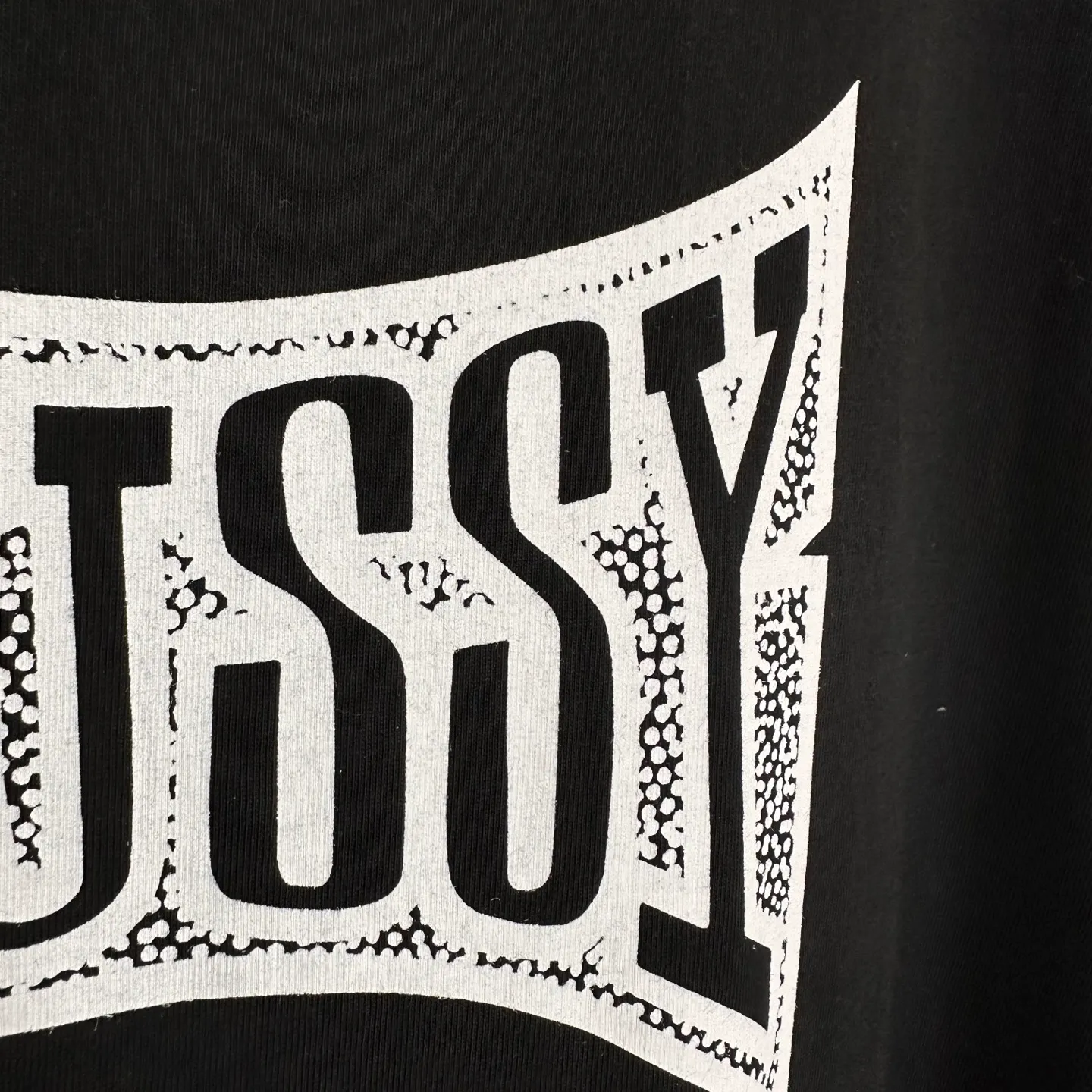 Champion flag T-shirt STUSSY FW24 CHAMPION TEE black and white S-XL