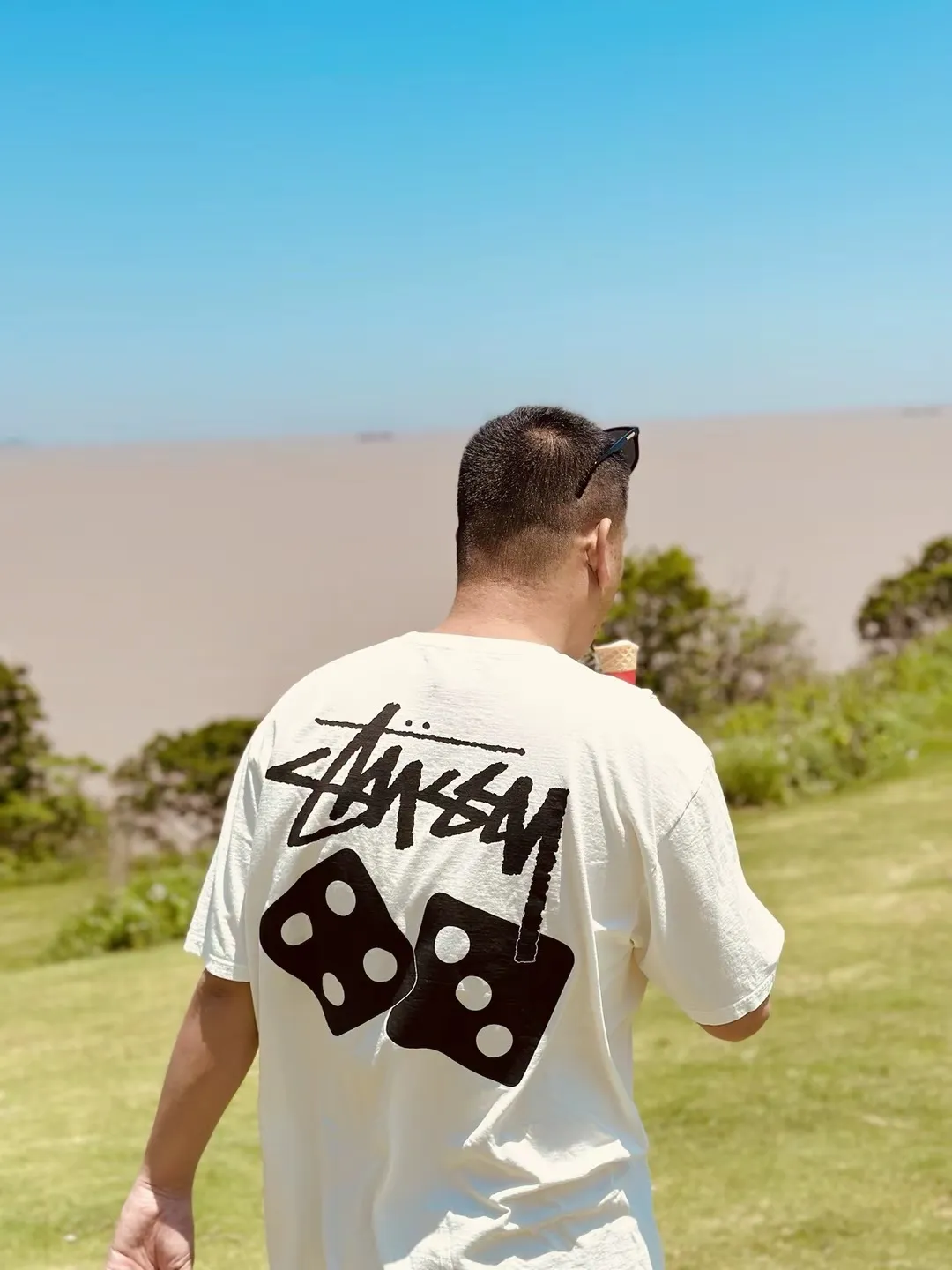 STUSSY SS25 DICE TEE PIGMENT DYED dice letter pattern printed short-sleeved T-shirt black off-white S-XL