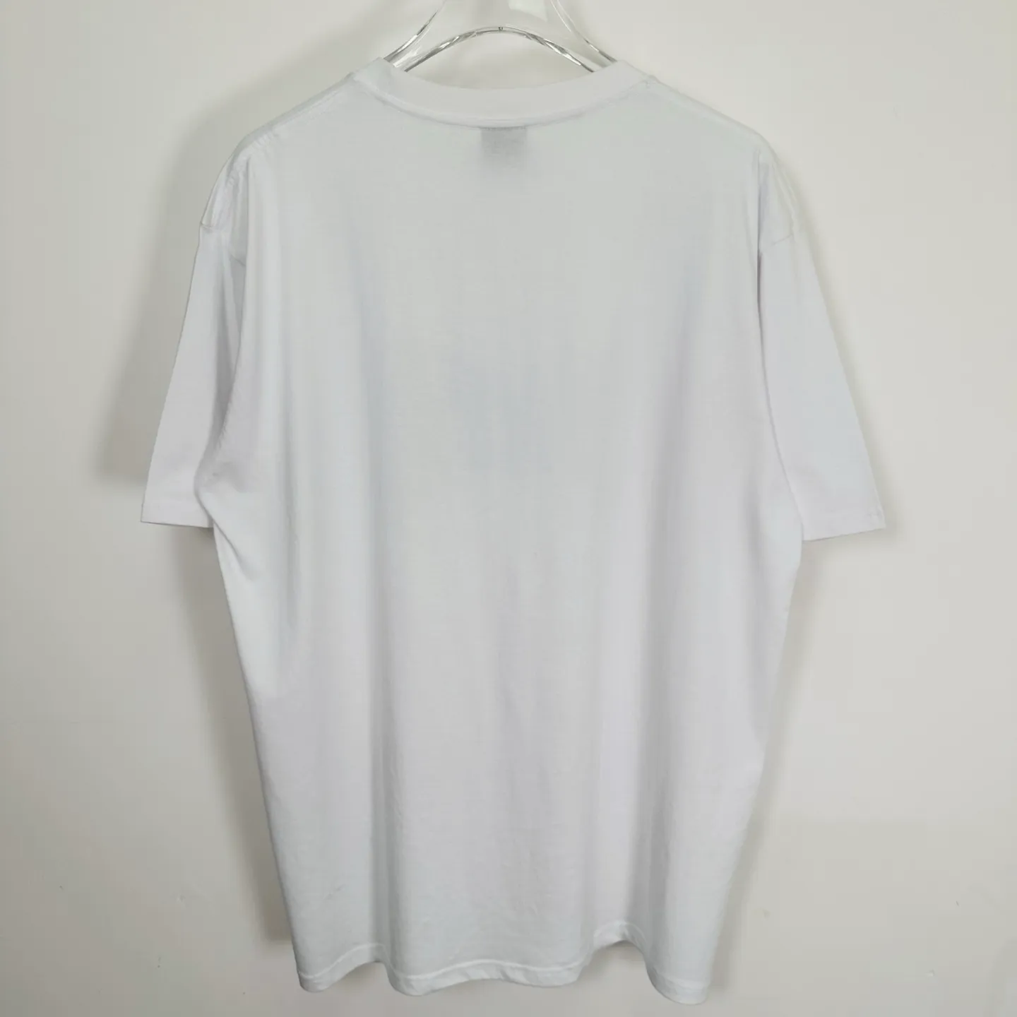 Champion flag T-shirt STUSSY FW24 CHAMPION TEE black and white S-XL