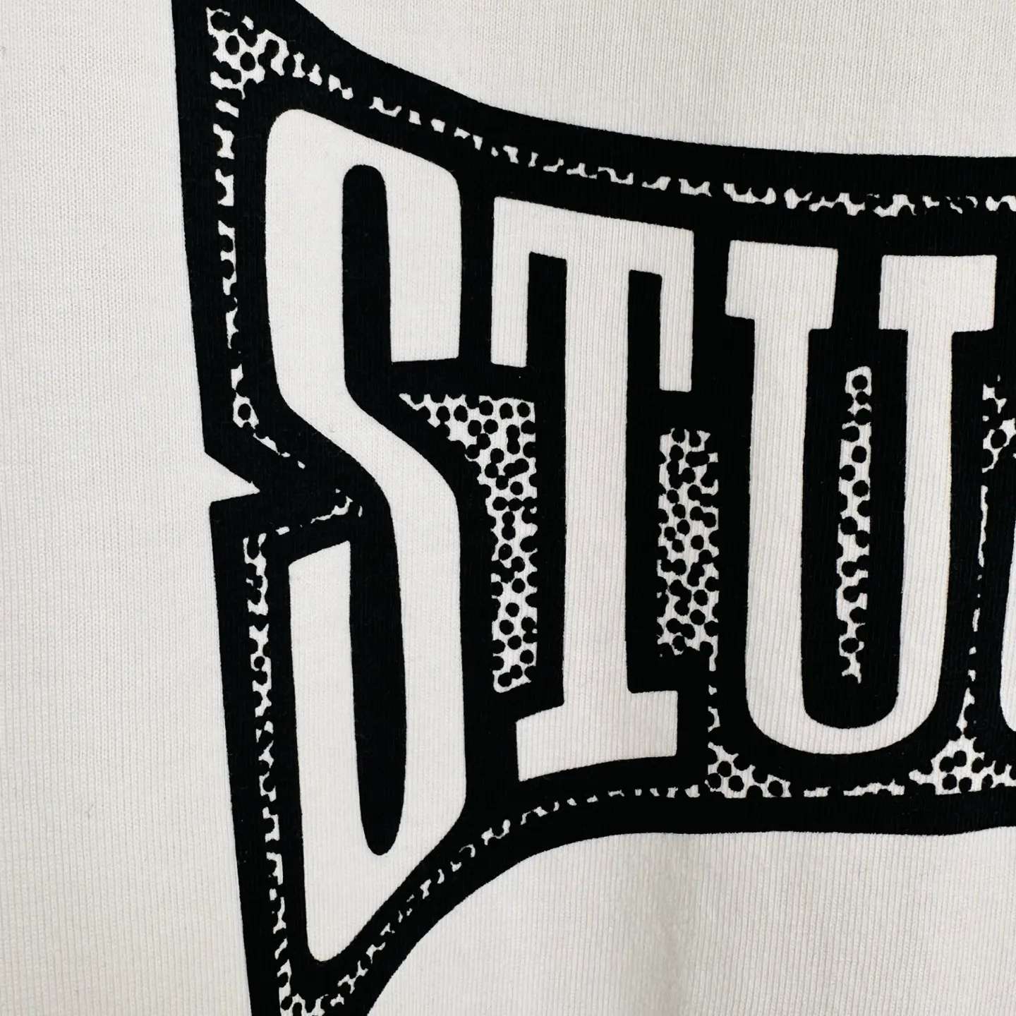 Champion flag T-shirt STUSSY FW24 CHAMPION TEE black and white S-XL
