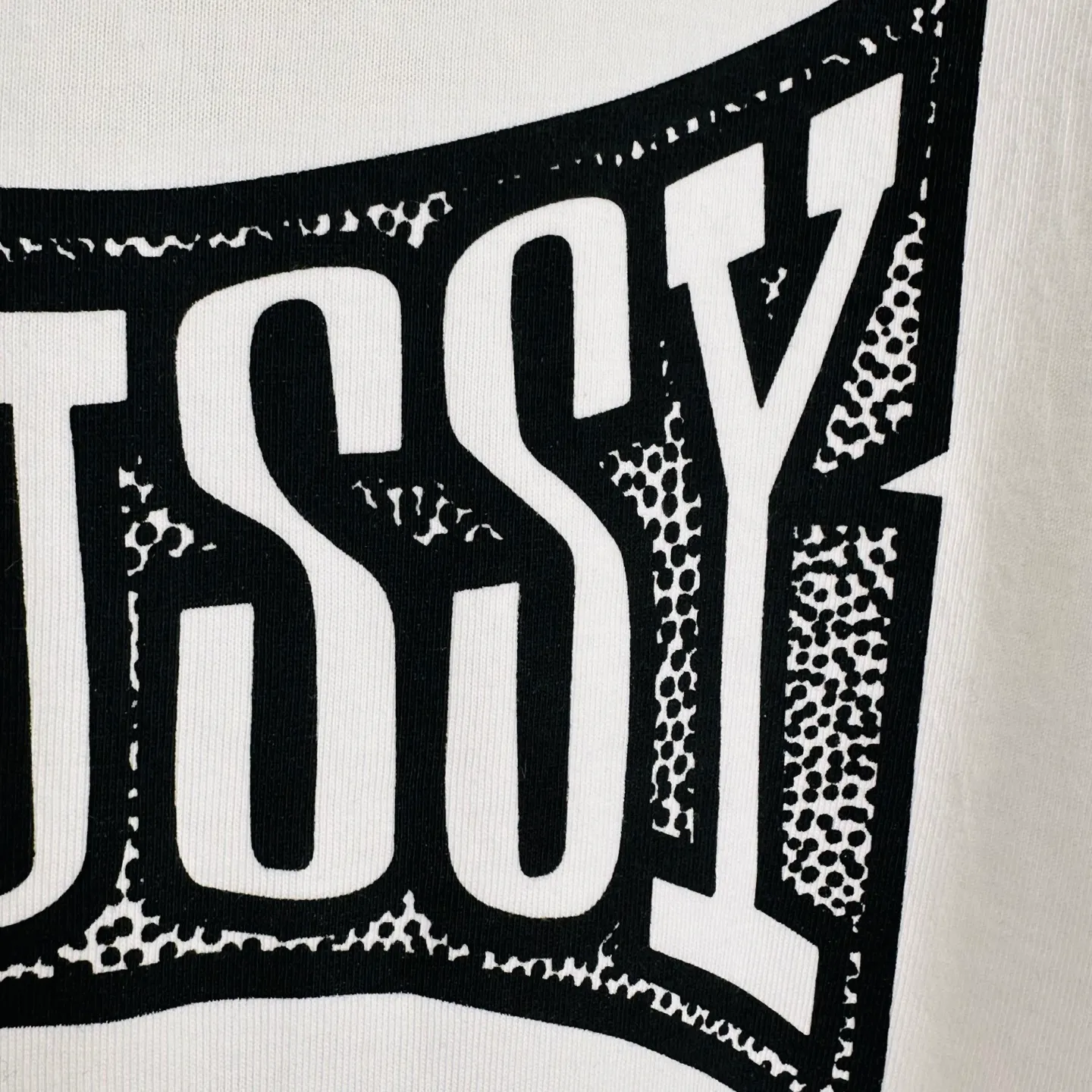 Champion flag T-shirt STUSSY FW24 CHAMPION TEE black and white S-XL
