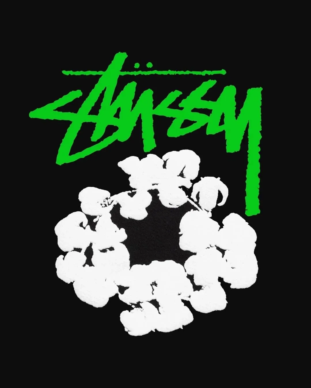 DT trousers STUSSY