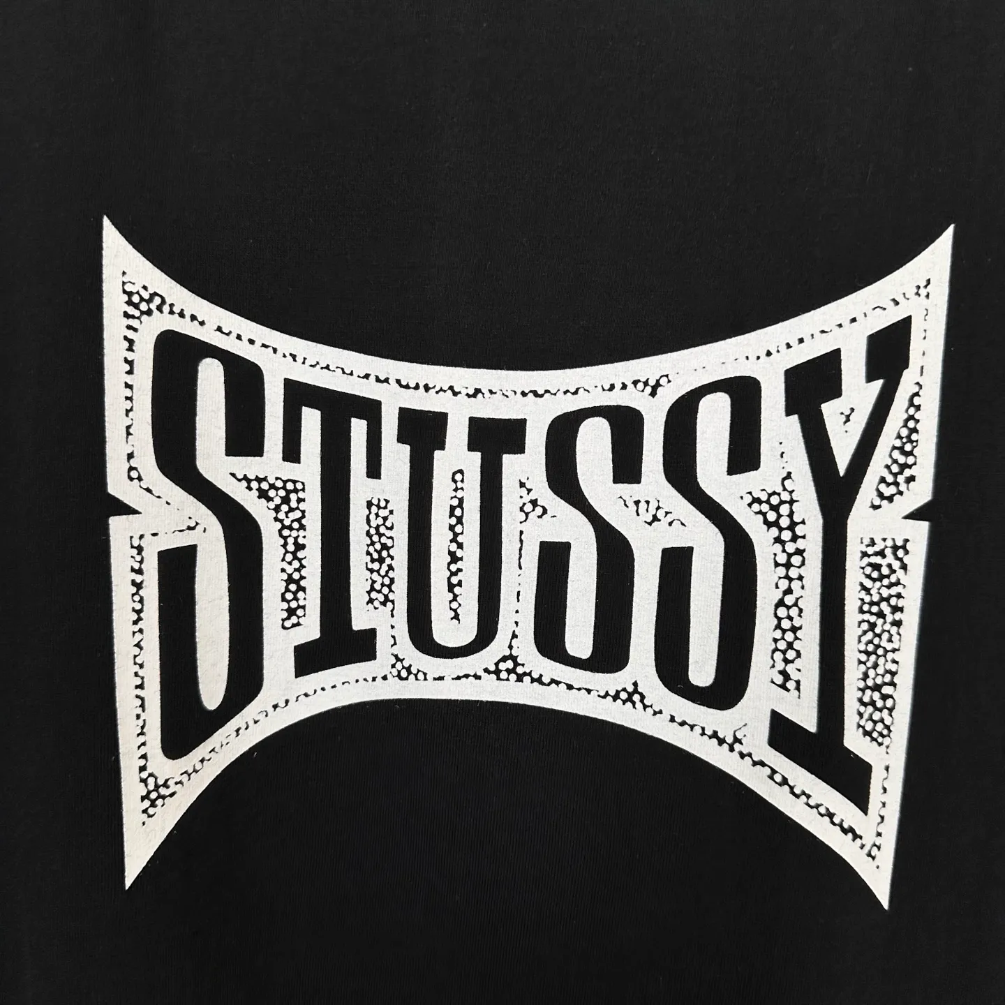 Replacement order and return of goods! Champion flag T-shirt STUSSY FW24 CHAMPION TEE black and white S-XL