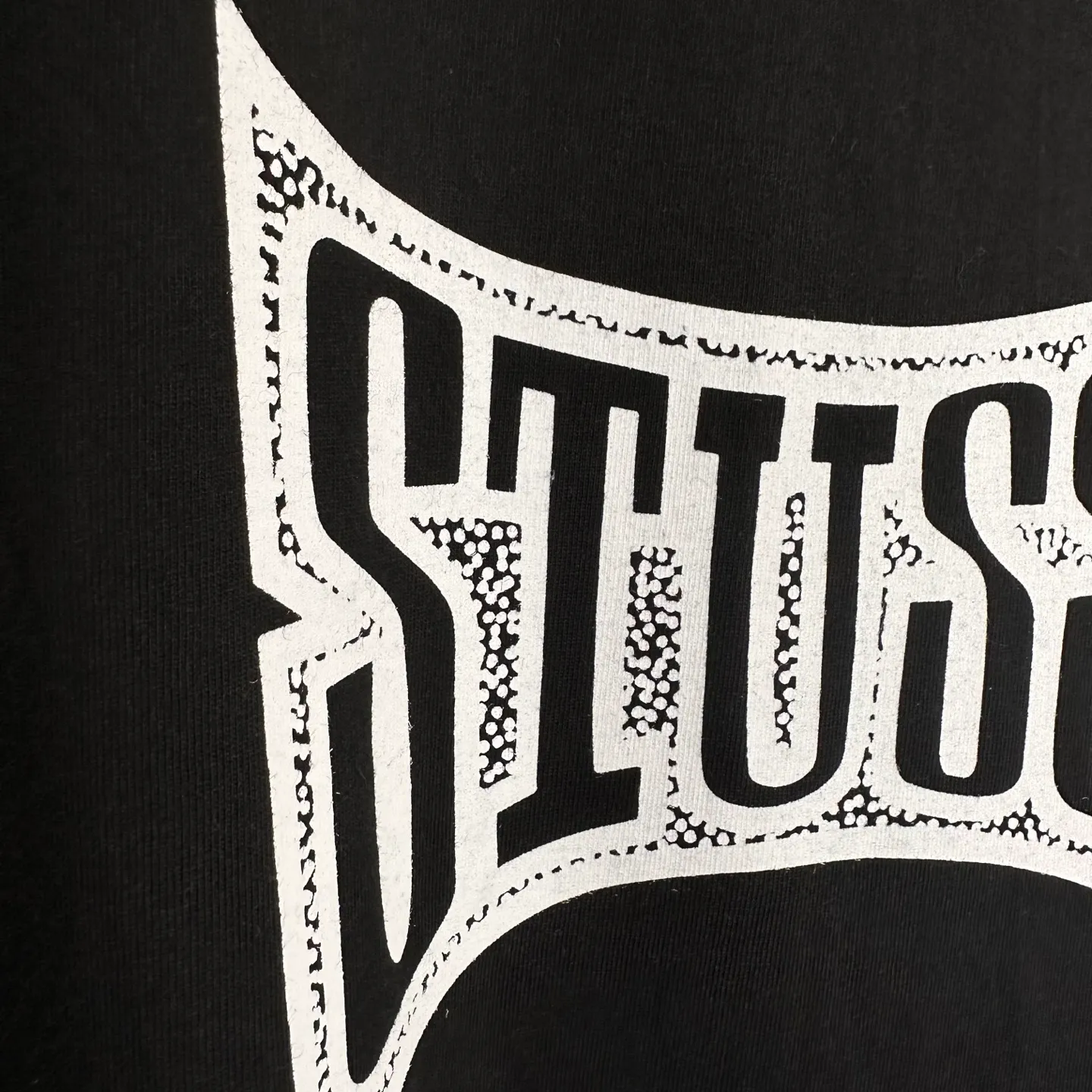 Replacement order and return of goods! Champion flag T-shirt STUSSY FW24 CHAMPION TEE black and white S-XL