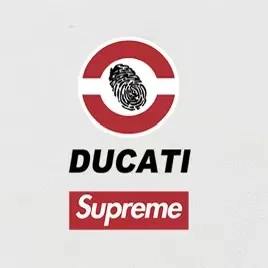 Style No. S2135 #terry P160💰 Velvet P170💰 Supreme Ducati co-branded motorcycle letter print hooded sweatshirt Made of 400g large terry 430g silver fox velvet (drop shoulder large version) fabric, soft texture and no pilling Imported environmentally friendly printing glue The pattern is bright and three-dimensional Quality 💥Same style for men and women The upper body is trendy Color: black white gray Size: S M L XL XXL