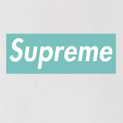 Style No. S2153 #terry P160💰 Velvet P170💰 supreme FW23 Box co-branded hooded sweatshirt Made of 400g large terry 430g silver fox velvet (drop shoulder large version) fabric, soft texture and no pilling Imported environmentally friendly printing glue The pattern is bright and three-dimensional Quality 💥Same style for men and women The upper body is trendy Color: black white gray Size: S M L XL XXL